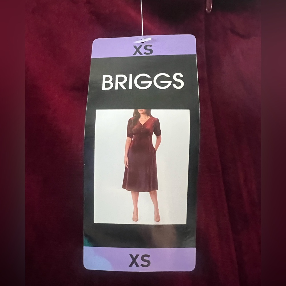 Briggs New York Burgundy Velvet Midi Dress XS Empire Waist Holiday NWT - Picture 7 of 11